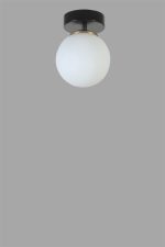 8805-1 – Лустер - Image 4