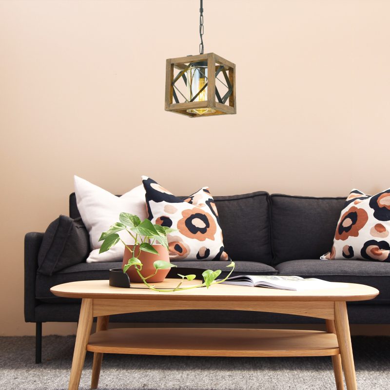 E8146-1 – Лустер