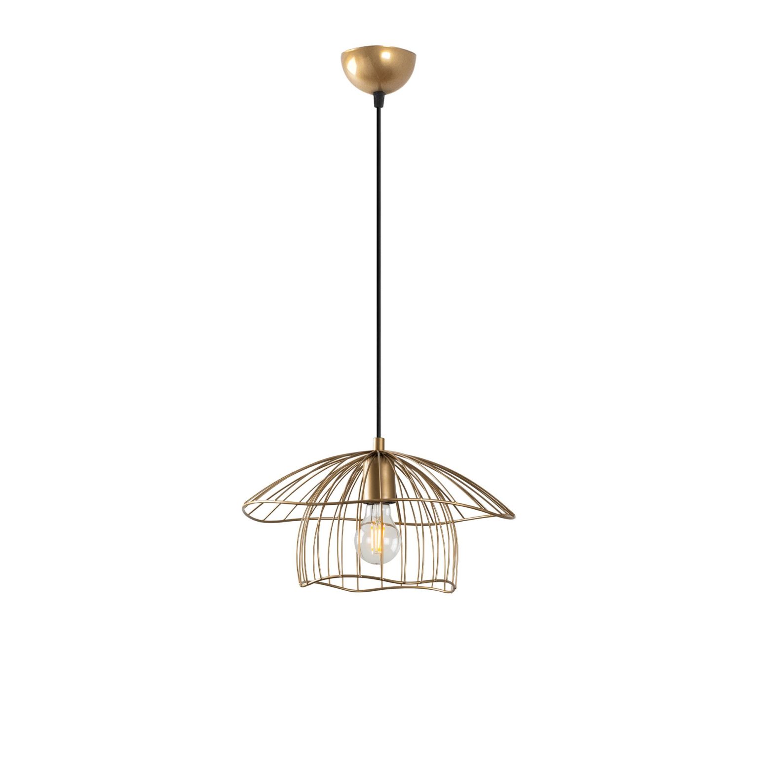 Mantar - 6503 - S – Лустер - Image 5