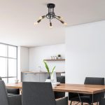 Viraj - 10880 – Лустер