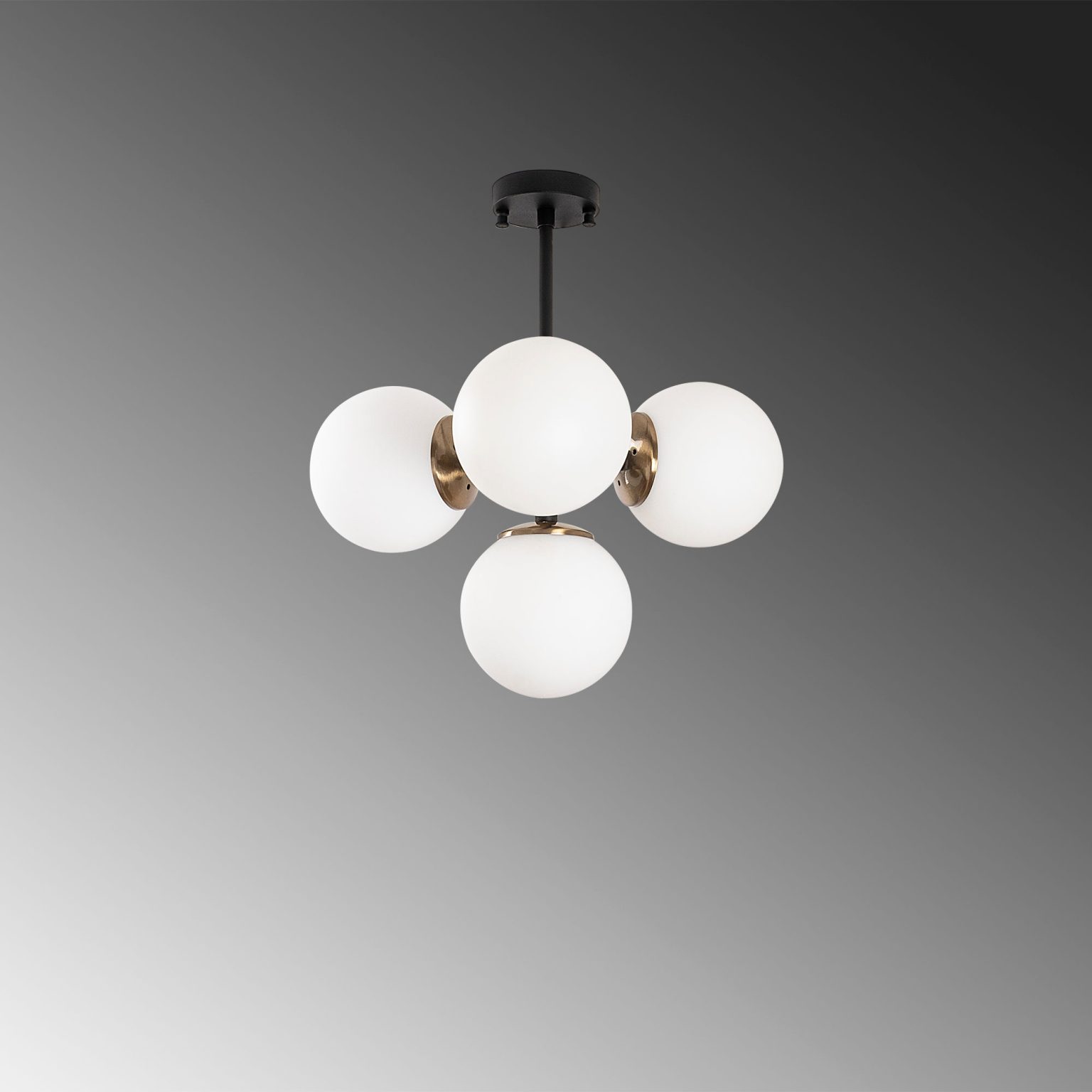 Akkas - 10066 – Лустер - Image 4