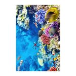 Wookece166 – Тепих (60 x 100) - Image 6