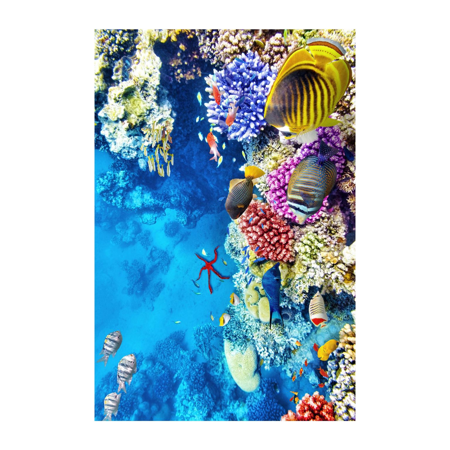 Wookece166 – Тепих (60 x 100) - Image 6