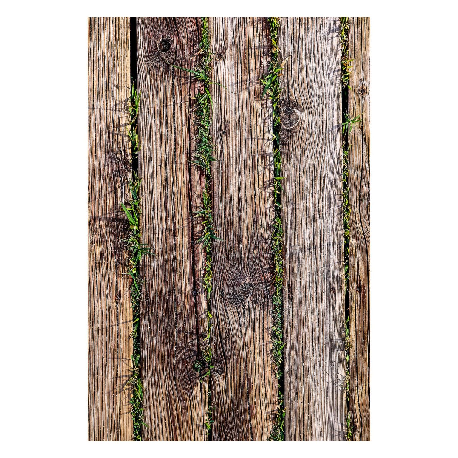 Wookece221 – Тепих (60 x 100) - Image 6